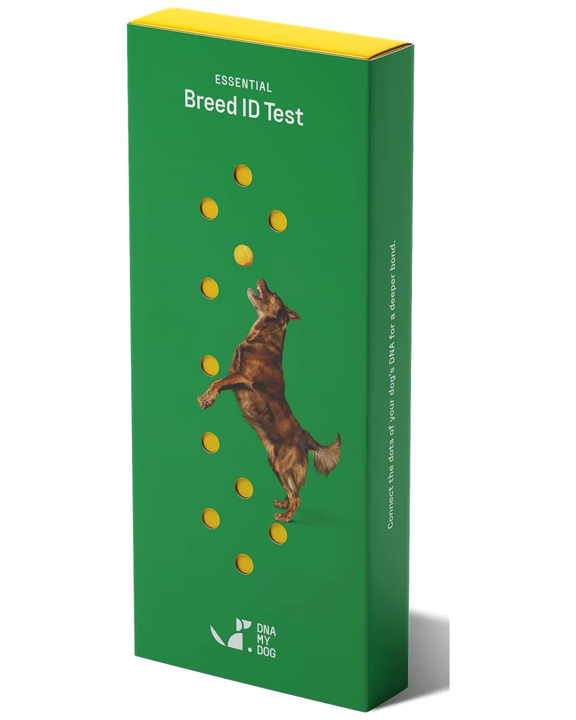 DNA My Dog Essential Breed ID Testing Kit
